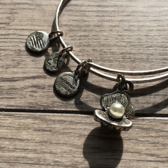 Alex and Ani charm bracelet - Picture 3 of 4
